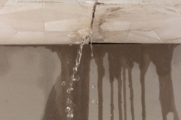 Professional Water Damage Restoration technician working in Merchantville, NJ